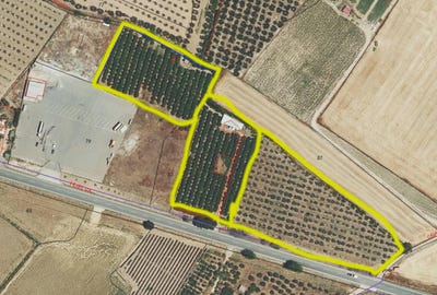 /international/es/manzanilla-andalusia-310108893466/