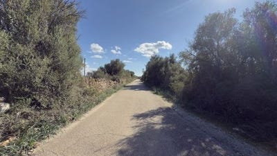 /international/es/llucmajor-balearic-islands-310108103960/