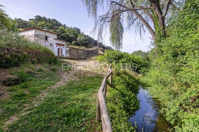 /international/es/almonaster-la-real-andalusia-310100641206/