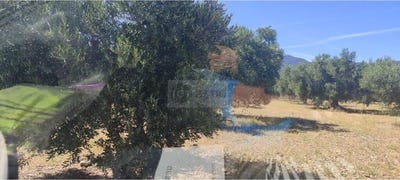 /international/es/cantallops-catalonia-310100937694/