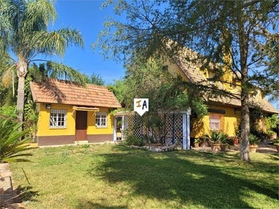 /international/es/moron-de-la-frontera-andalusia-310097619113/