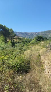 /international/es/parcent-valencian-community-310101497149/?lang=id