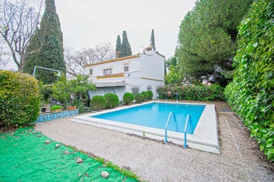 /international/es/espartinas-andalusia-310104631903/