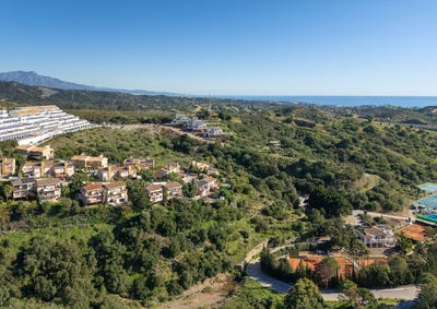 /international/es/pona-andalusia-310096793409/?lang=zh-tw