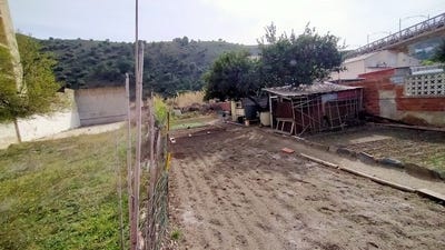 /international/es/colera-catalonia-310100639129/