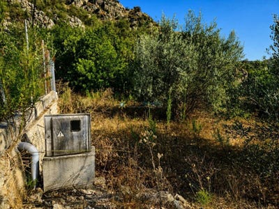 /international/es/l-atzubia-valencian-community-310110347670/