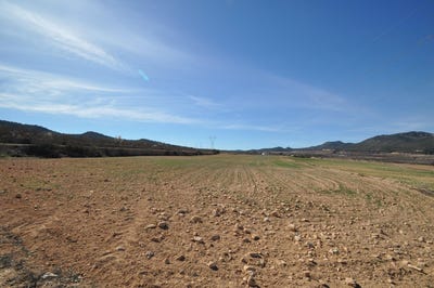 /international/es/salinas-valencian-community-310100736719/