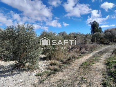 /international/es/cehegin-region-of-murcia-310105741484/