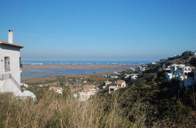 /international/es/monte-pego-valencian-community-310107649278/