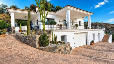 /international/es/guaro-andalusia-310108210189/