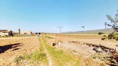 /international/es/lligallo-de-sant-jaume-ulldecona-catalonia-310107063391/