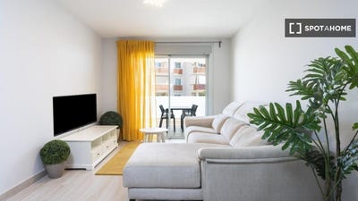 /international/es/santa-cruz-de-tenerife-canary-islands-310108563646/