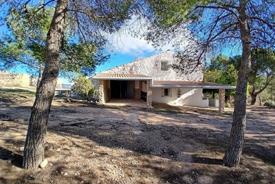 /international/es/caudete-castile-la-mancha-310106992205/