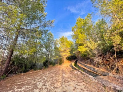 /international/es/ador-valencian-community-310105379030/