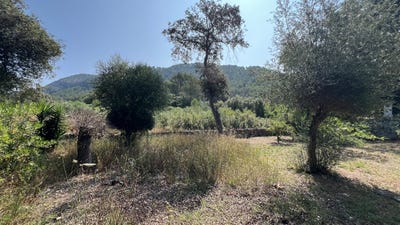 /international/es/sa-pobla-balearic-islands-310100168601/