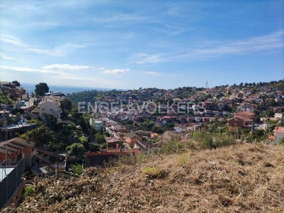 /international/es/santa-coloma-de-cervello-catalonia-310100642261/