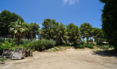 /international/es/moraira-valencian-community-310107256869/