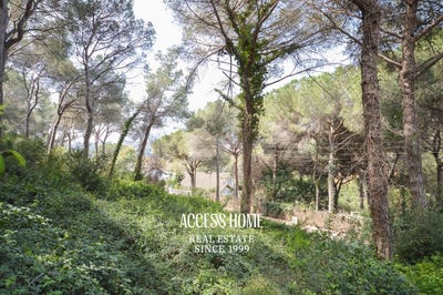 /international/es/cabrils-catalonia-310106505681/
