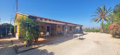/international/es/novelda-valencian-community-310108974120/