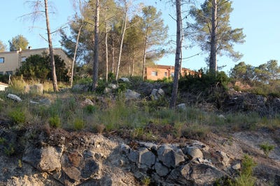 /international/es/olivella-catalonia-310094938892/