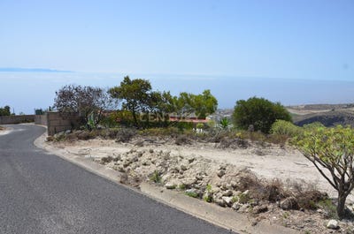 /international/es/guimar-canary-islands-310100665826/