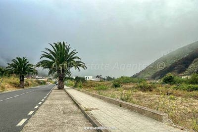 /international/es/buenavista-del-norte-canary-islands-310105685151/