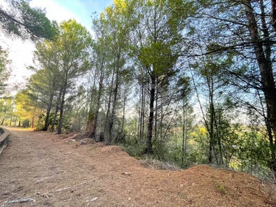 /international/es/carrer-roure-ador-valencian-community-310102548068/