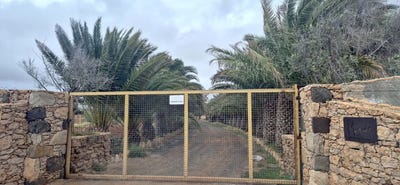 /international/es/antigua-canary-islands-310107046892/