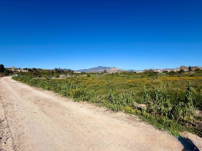 /international/es/el-acebuche-archena-archena-region-of-murcia-310107643138/
