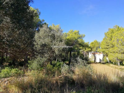 /international/es/denia-valencian-community-310101226669/?lang=zh-tw