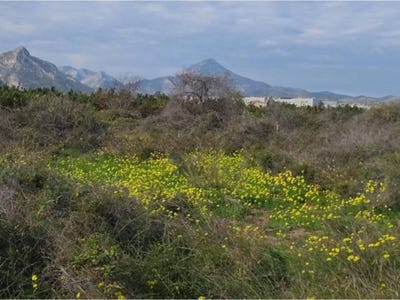 /international/es/gandia-valencian-community-310107521287/