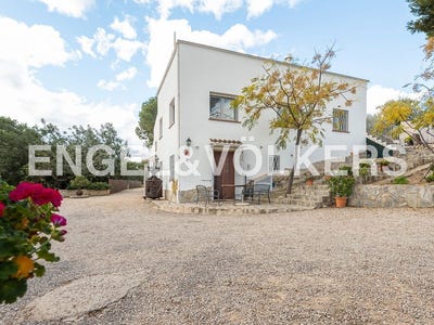 /international/es/calig-valencian-community-310100643195/