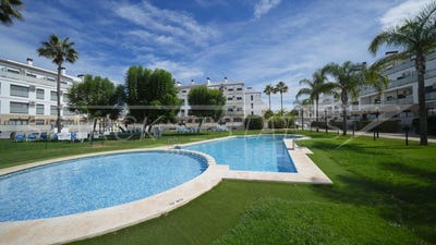 /international/es/oliva-valencian-community-310098736049/