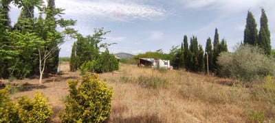 /international/es/ulldecona-catalonia-310106066775/