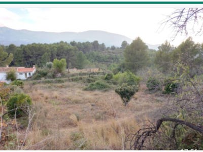 /international/es/pol-p-parc-arenal-parcent-parcent-valencian-community-310094334576/