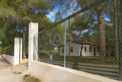 /international/es/lugar-pinar-de-la-perdiz-pilar-de-la-horadada-valencian-community-310109017794/