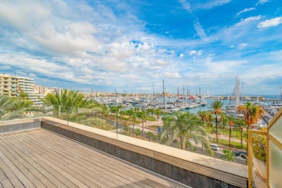/international/es/palma-de-mallorca-balearic-islands-310103445591/