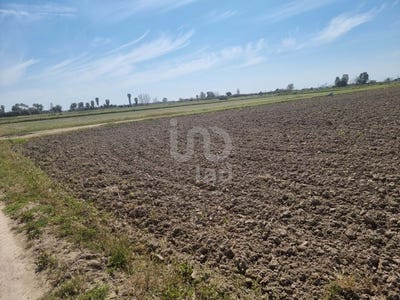 /international/es/tarragona-catalonia-310099354374/