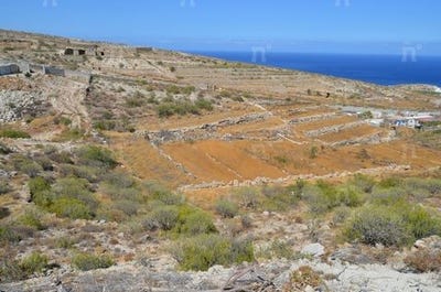 /international/es/tenerife-valencian-community-120056133914/