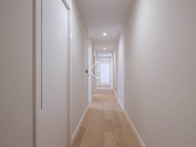 /international/es/vigo-galicia-310094511236/