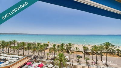 /international/es/palma-de-mallorca-balearic-islands-310101278843/