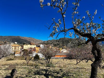 /international/es/pd-vines-tarbena-valencian-community-310105945023/