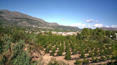 /international/es/orba-valencian-community-310105342330/