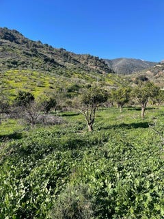 /international/es/huetor-tajar-andalusia-310101228704/?lang=zh-cn
