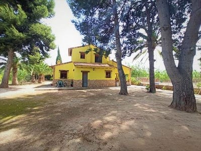 /international/es/novelda-valencian-community-310103490168/