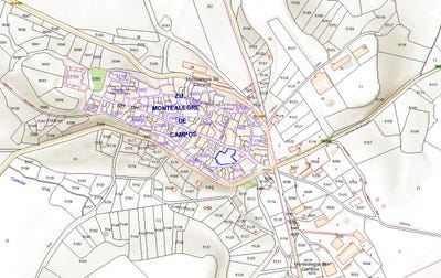 /international/es/montealegre-de-campos-castile-and-leon-310109199036/