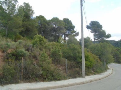 /international/es/rellinars-catalonia-310106429300/