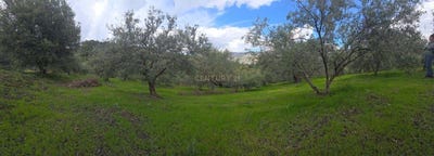 /international/es/guajares-los-andalusia-310107010188/