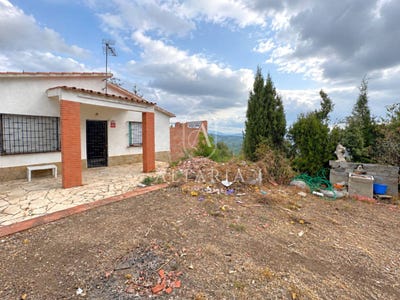 /international/es/assutzenes-palafolls-catalonia-310120047765/