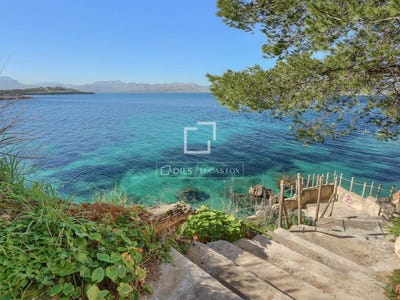 /international/es/alcudia-andalusia-310109175976/